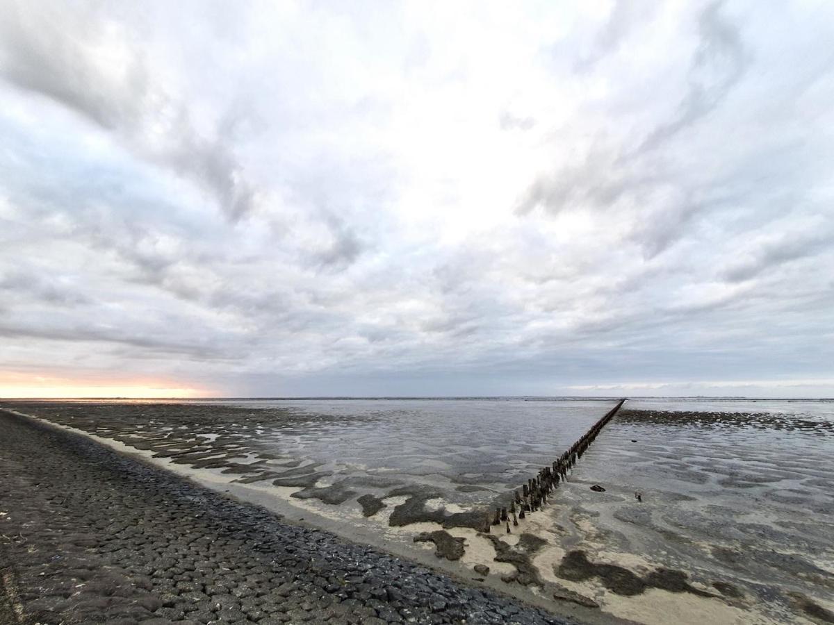 Vakantiewoning Oer it fjild Holwerd Buitenkant foto